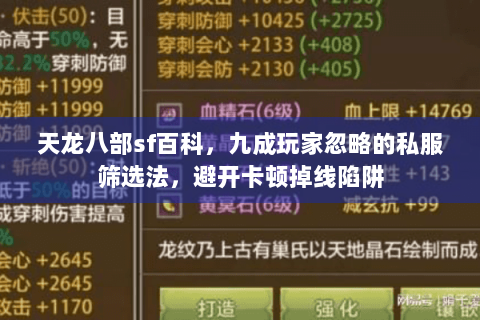 天龙八部sf百科，九成玩家忽略的私服筛选法，避开卡顿掉线陷阱