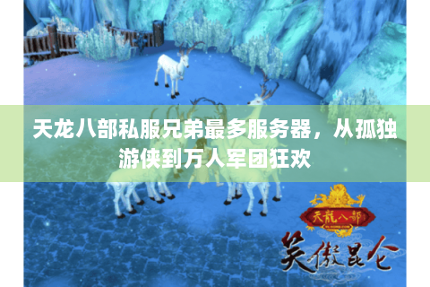 天龙八部私服兄弟最多服务器，从孤独游侠到万人军团狂欢