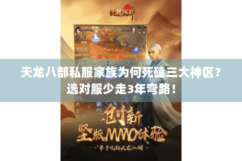 天龙八部私服家族为何死磕三大神区？选对服少走3年弯路！