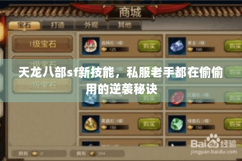 天龙八部sf新技能，私服老手都在偷偷用的逆袭秘诀