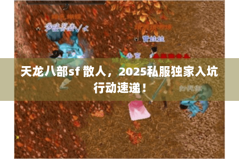 天龙八部sf 散人，2025私服独家入坑行动速递！