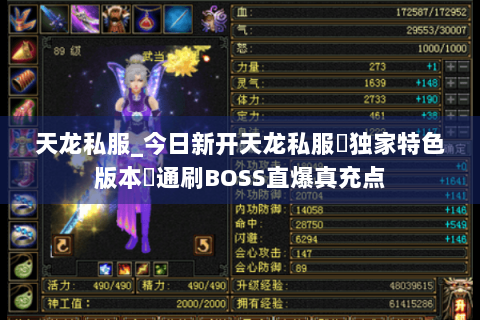 天龙私服_今日新开天龙私服▷独家特色版本◁通刷BOSS直爆真充点