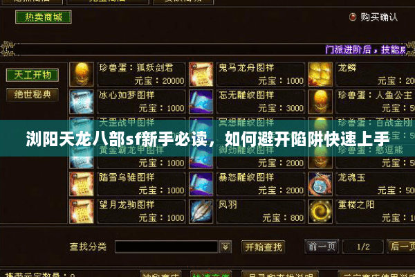 浏阳天龙八部sf新手必读，如何避开陷阱快速上手