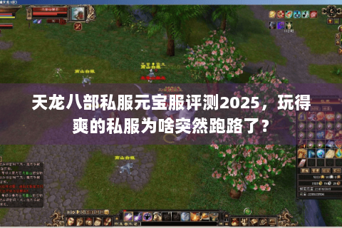 天龙八部私服元宝服评测2025，玩得爽的私服为啥突然跑路了？