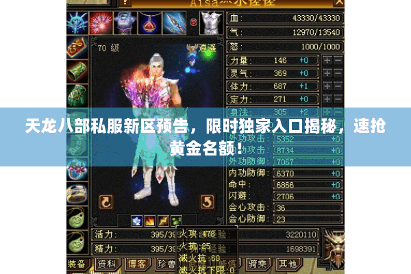 天龙八部私服新区预告，限时独家入口揭秘，速抢黄金名额！