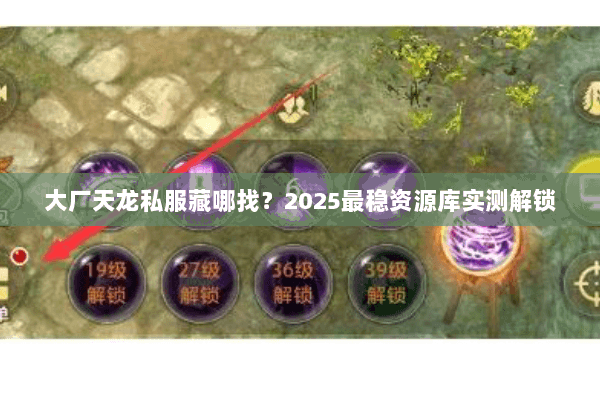 大厂天龙私服藏哪找？2025最稳资源库实测解锁
