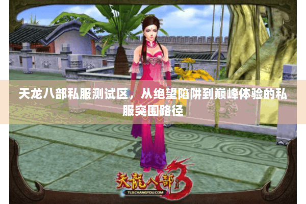 天龙八部私服测试区，从绝望陷阱到巅峰体验的私服突围路径
