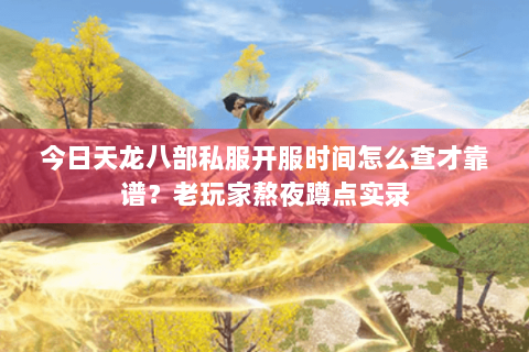 今日天龙八部私服开服时间怎么查才靠谱？老玩家熬夜蹲点实录