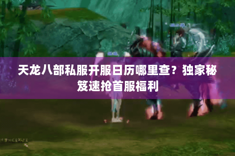 天龙八部私服开服日历哪里查？独家秘笈速抢首服福利