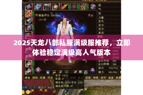 2025天龙八部私服满级服推荐，立即体验稳定满级高人气版本