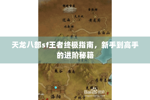 天龙八部sf王者终极指南，新手到高手的进阶秘籍
