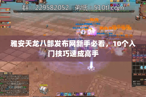 雅安天龙八部发布网新手必看，10个入门技巧速成高手