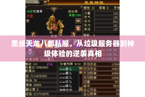 黑纸天龙八部私服，从垃圾服务器到神级体验的逆袭真相