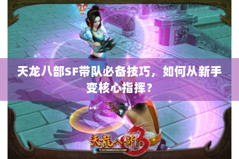 天龙八部SF带队必备技巧，如何从新手变核心指挥？