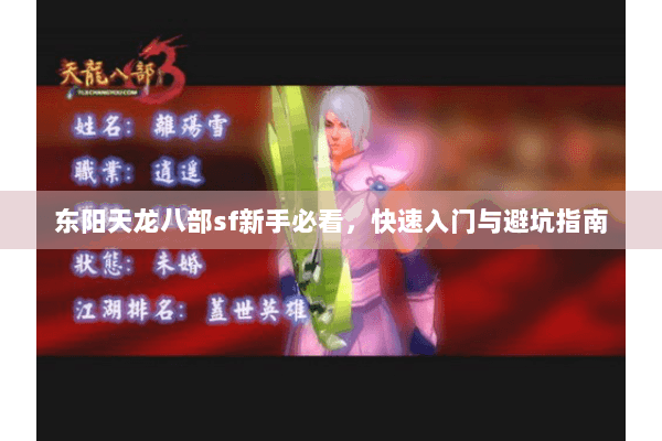东阳天龙八部sf新手必看，快速入门与避坑指南