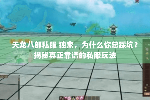 天龙八部私服 独家，为什么你总踩坑？揭秘真正靠谱的私服玩法