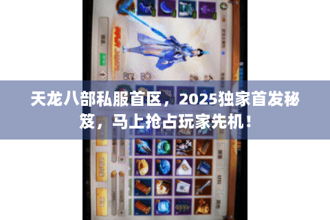 天龙八部私服首区，2025独家首发秘笈，马上抢占玩家先机！