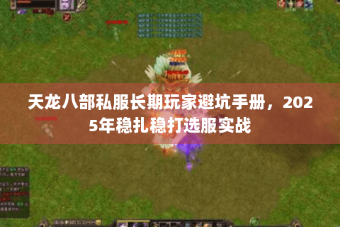 天龙八部私服长期玩家避坑手册，2025年稳扎稳打选服实战