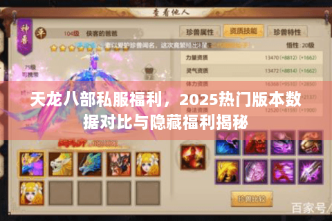 天龙八部私服福利，2025热门版本数据对比与隐藏福利揭秘