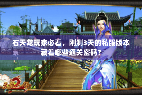 石天龙玩家必看，刚测3天的私服版本藏着哪些通关密码？