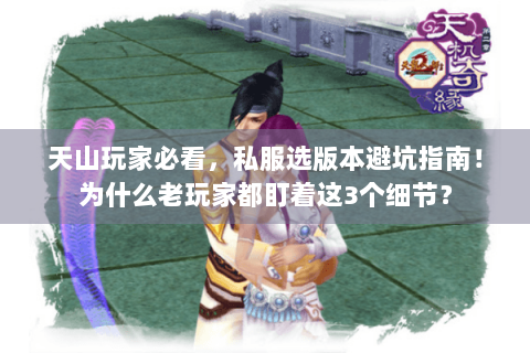 天山玩家必看，私服选版本避坑指南！为什么老玩家都盯着这3个细节？