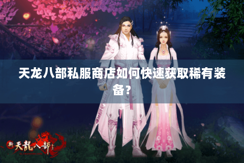 天龙八部私服商店如何快速获取稀有装备？