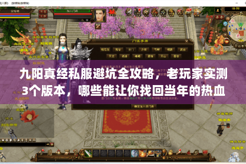 九阳真经私服避坑全攻略，老玩家实测3个版本，哪些能让你找回当年的热血？