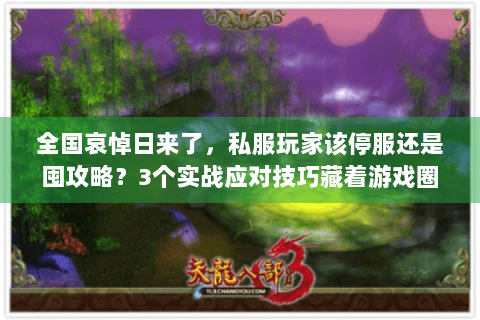 全国哀悼日来了，私服玩家该停服还是囤攻略？3个实战应对技巧藏着游戏圈潜规则
