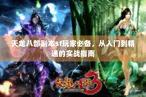 天龙八部副本sf玩家必备，从入门到精通的实战指南