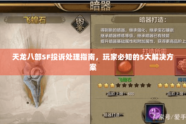 天龙八部SF投诉处理指南，玩家必知的5大解决方案