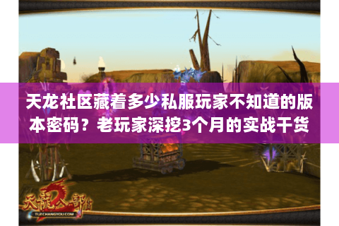 天龙社区藏着多少私服玩家不知道的版本密码？老玩家深挖3个月的实战干货