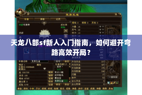 天龙八部sf新人入门指南，如何避开弯路高效开局？
