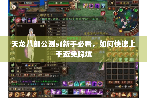 天龙八部公测sf新手必看，如何快速上手避免踩坑
