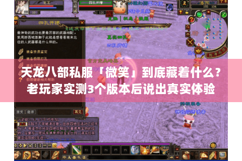 天龙八部私服「微笑」到底藏着什么？老玩家实测3个版本后说出真实体验