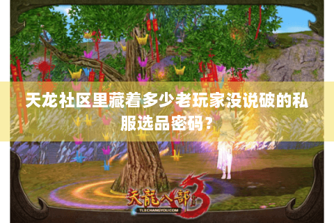 天龙社区里藏着多少老玩家没说破的私服选品密码？