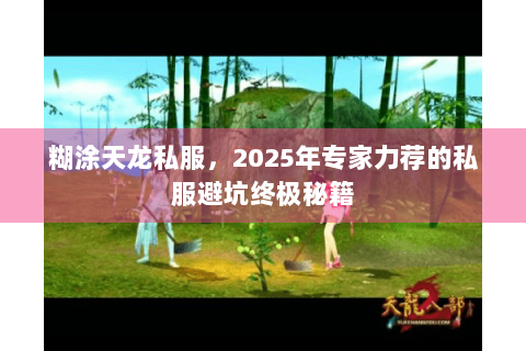 糊涂天龙私服，2025年专家力荐的私服避坑终极秘籍