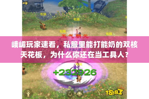 峨嵋玩家速看，私服里能打能奶的双核天花板，为什么你还在当工具人？