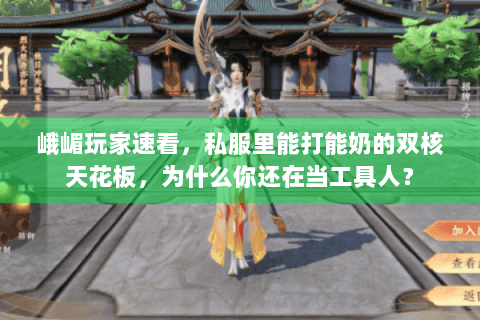 峨嵋玩家速看，私服里能打能奶的双核天花板，为什么你还在当工具人？