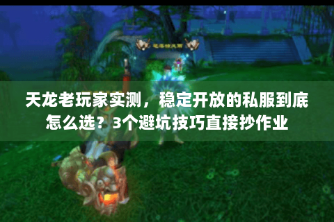 天龙老玩家实测，稳定开放的私服到底怎么选？3个避坑技巧直接抄作业