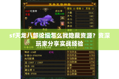 sf天龙八部论坛怎么找隐藏资源？资深玩家分享实战经验