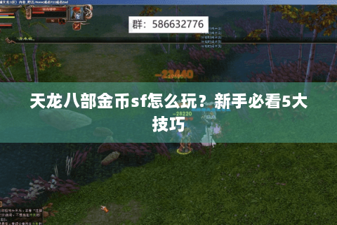 天龙八部金币sf怎么玩？新手必看5大技巧