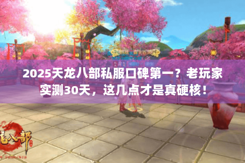 2025天龙八部私服口碑第一？老玩家实测30天，这几点才是真硬核！