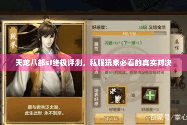 天龙八部sf终极评测，私服玩家必看的真实对决