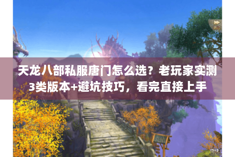 天龙八部私服唐门怎么选？老玩家实测3类版本+避坑技巧，看完直接上手