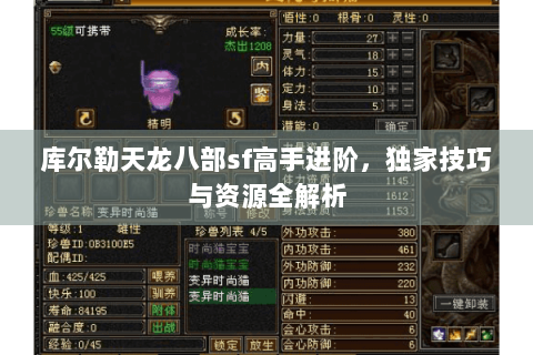 库尔勒天龙八部sf高手进阶，独家技巧与资源全解析