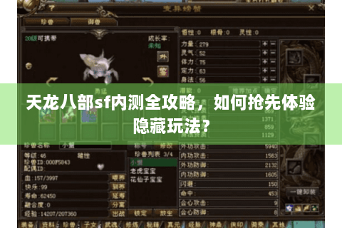 天龙八部sf内测全攻略，如何抢先体验隐藏玩法？