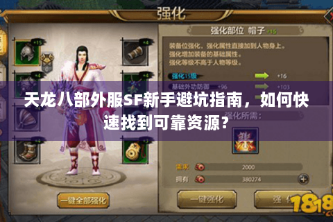 天龙八部外服SF新手避坑指南，如何快速找到可靠资源？