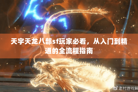 天宇天龙八部sf玩家必看，从入门到精通的全流程指南