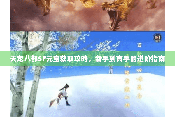 天龙八部SF元宝获取攻略，新手到高手的进阶指南