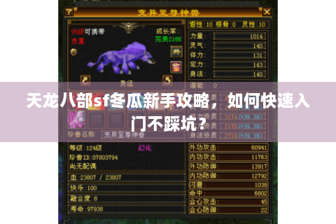 天龙八部sf冬瓜新手攻略，如何快速入门不踩坑？